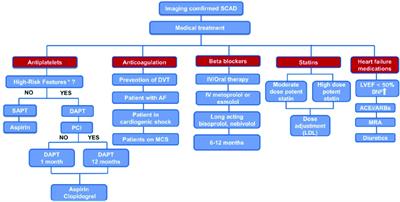 Editorial: Spontaneous coronary artery dissection: current state of diagnosis and treatment
